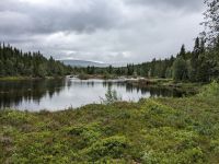 ein kleiner Spaziergang unterwegs auf dem Weg nach Trondheim