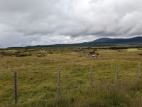 Blick über das Dovrefjell