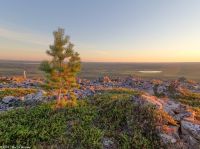 Abendwanderung auf den Luostotunturi - Hausberg von Luosto