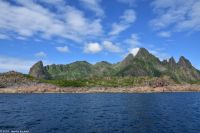 Seeadlersafari im Raftsund zwischen Vesterålen und Lofoten