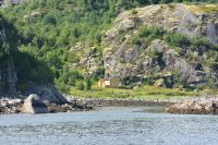 Seeadlersafari im Raftsund zwischen Vesterålen und Lofoten