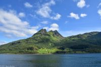 Seeadlersafari im Raftsund zwischen Vesterålen und Lofoten