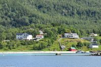 Seeadlersafari im Raftsund zwischen Vesterålen und Lofoten