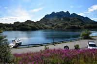 Hanøy, Insel Hinnøya, Vesterålen Archipel - Ende der Seeadlersafari