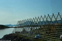 Lofoten - Stockfisch Trockengestell