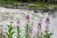 Nordland fylke - Laksforsen bei Mosjøen