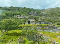 natürliche Schieferstufen