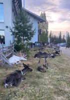  ...vor unserem Hotel