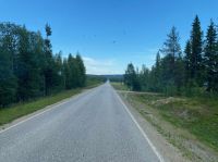 Fahrt durch Lappland