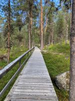 ein schöner Holzweg