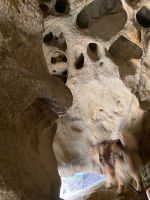 In der Höhle mit Ersatzbär