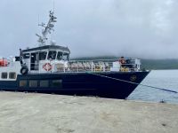 Øykongen – Inselkönig