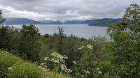 20260617_4 Balsfjord.jpg &ndash; &copy; Michael Rass (Eberhardt TRAVEL)