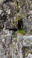20260618_11 die Namensgeber.jpg &ndash; &copy; Michael Rass (Eberhardt TRAVEL)