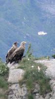 20260618_15 Da sind sie....jpg &ndash; &copy; Michael Rass (Eberhardt TRAVEL)
