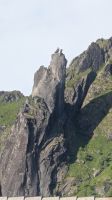 20260618_19 Svolvearziege.jpg &ndash; &copy; Michael Rass (Eberhardt TRAVEL)