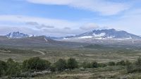 20260622_5 Dovrefjell, Heimat der Moschusochsen.jpg &ndash; &copy; Michael Rass (Eberhardt TRAVEL)