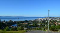 286 Trondheim