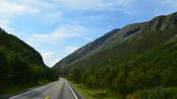 295 Zum Dovrefjell