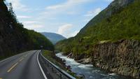 296 Zum Dovrefjell