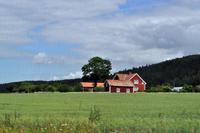 An den Ufern des Vättern