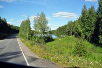 An den Ufern des Pyhäjänne im gleichnamigen Nationalpark (Im Herzen der finnsichen Seenplatte)