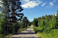 An den Ufern des Pyhäjänne im gleichnamigen Nationalpark (Im Herzen der finnsichen Seenplatte)