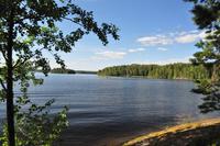 An den Ufern des Pyhäjänne im gleichnamigen Nationalpark (Im Herzen der finnsichen Seenplatte)