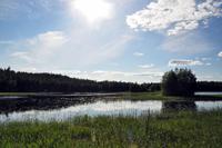 An den Ufern des Pyhäjänne im gleichnamigen Nationalpark (Im Herzen der finnsichen Seenplatte)