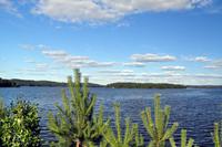 An den Ufern des Pyhäjänne im gleichnamigen Nationalpark (Im Herzen der finnsichen Seenplatte)