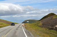 Auf der E69 am Porsangerfjord - Der Weg zur Insel Magerøya (Nordkappinsel)