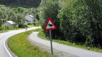 Vorsicht (norwegischer) Elch!