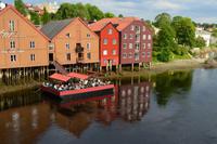 444 Trondheim