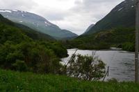 449 Dovretal