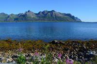 233 Lofotenrundfahrt