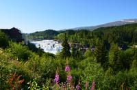 262 Laksfossen