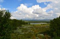 300 Dovrefjell