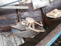 Silberschmiede in Russens