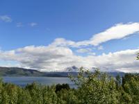 Blick auf Narvik am Herjangsfjord