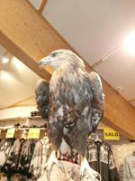 im Polarkreiszentrum