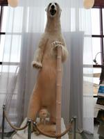 im Polarkreiszentrum