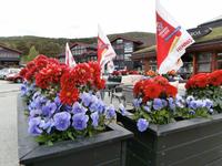 Blumenschmuck in Dombas