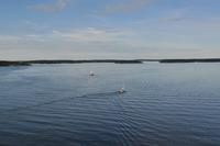 Stockholm - Helsinki: Schärengarten von Stockholm 