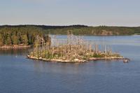 Stockholm - Helsinki: Schärengarten von Stockholm: Kormoran Inseln