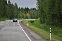 Finnisches Elchwarnschild