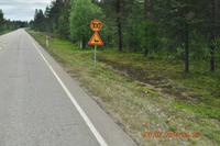 Finnisches Rentierwarnschild