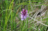 Insel Magerøya - Die Nordkapinsel