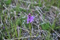 Insel Magerøya - Die Nordkapinsel