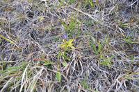 Insel Magerøya - Die Nordkapinsel