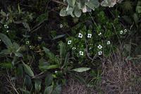 Tromsø - Fjellheisen